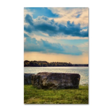 Jai Johnson 'River Rock' Canvas Art,16x24